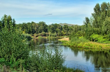 Пейзаж реки. Wood river