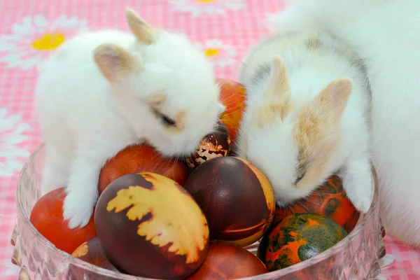 Antiquariato Colorato Uova Pasqua Soffietto Simpatici Coniglietti Bambino — Foto Stock