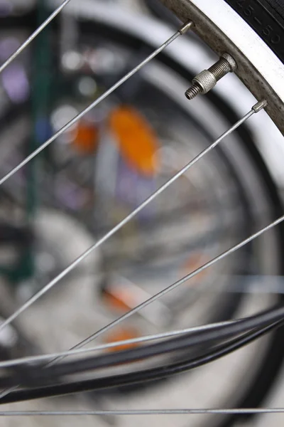 自転車のスポークとニップル — ストック写真