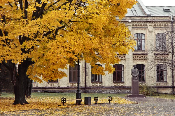 Autumn in old soviet yard — Stock Photo, Image