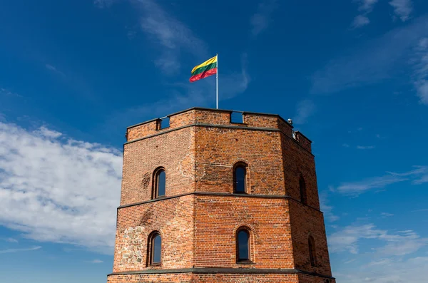 Vilnius, Torre di Gediminas , — Foto Stock