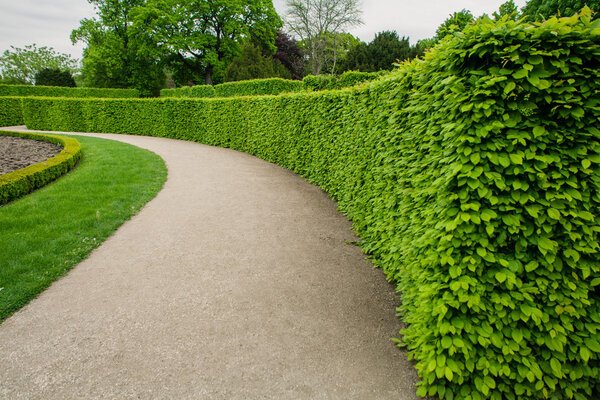 Green bushes at palace garden in Vienna