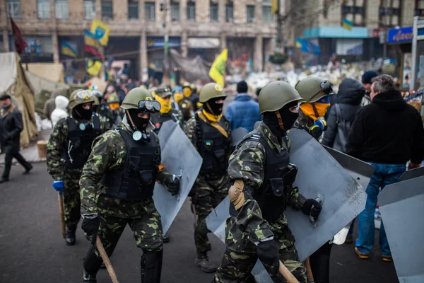 Протестующие в Киеве — стоковое фото