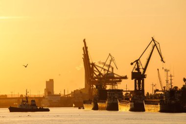 Günbatımında Gdynia COntainer Terminalinde kargo gemileri ve botlar