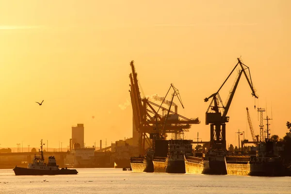 Buques Carga Barcos Terminal Gdynia Container Durante Puesta Del Sol — Foto de Stock