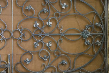 bir kapı gurgaon Close-Up