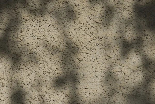 Close-up of a wall, Gurgaon — Stock Photo, Image