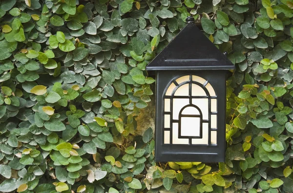 Birdhouse, Gurgaon — Stock Photo, Image