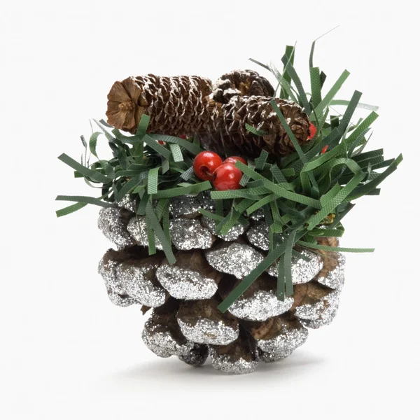 Christmas Pine cone — Stock Photo, Image