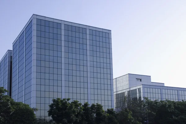 Trees in front of an office building, Gurgaon — Stock Photo, Image