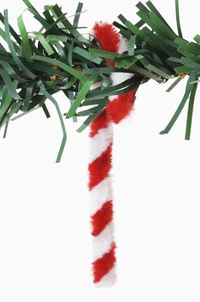 Cane hanging on a Christmas tree — Stock Photo, Image