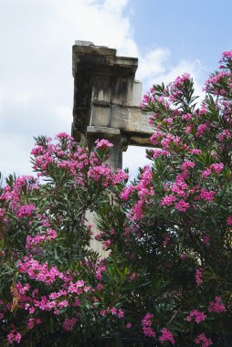 eski bir geçit, roman agora yıkıntıları