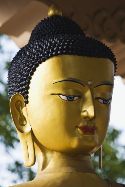 Lord Buda bir parkta