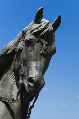 Theodoros Kolokotronis