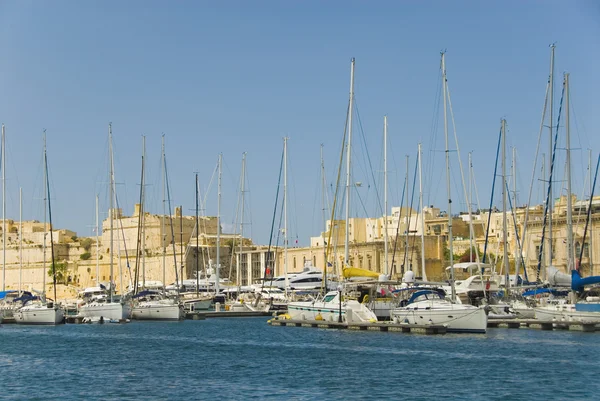 bir Harbor'da demirleyen tekneleri