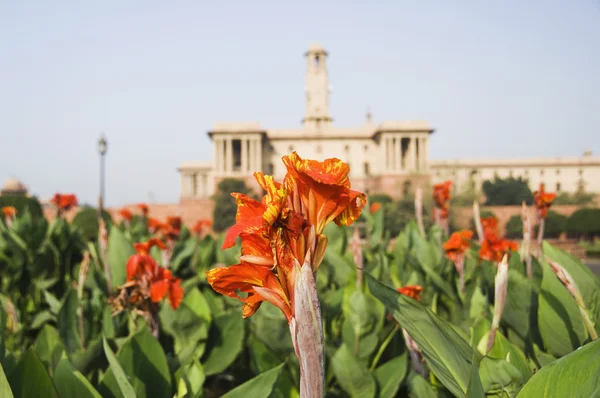 Giardino Mughal — Foto Stock