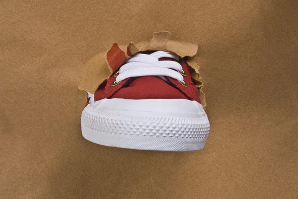 Sapato de lona — Fotografia de Stock
