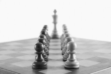 Kral ile satranç king