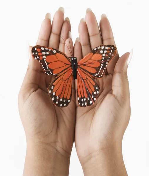Mains tenant un papillon — Photo