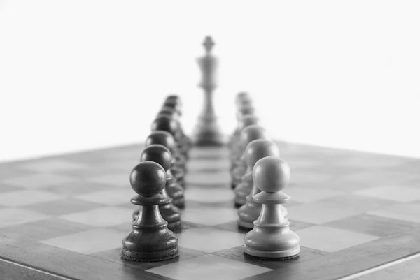 Chess king med dess konung — Stockfoto