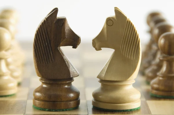 Chess knights face to face — Stock Photo, Image