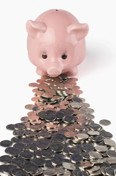 Coins in front of a piggy bank — Stock Photo, Image