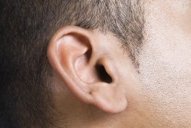 Man's ear clipart