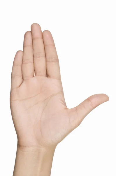 Person's palm — Stock Photo, Image