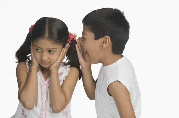 Girl covering her ears while her brother shouting — Stock Photo, Image