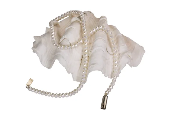Primo piano di una collana di perle su una conchiglia — Foto Stock