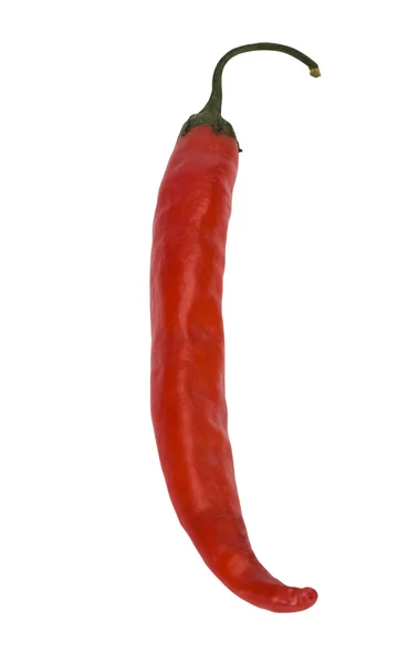 Close-up of a red chili pepper — Stock Photo, Image