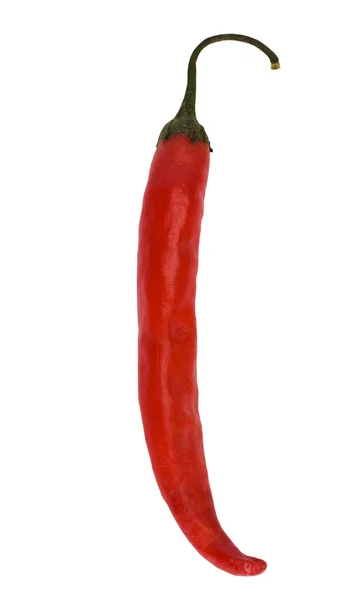Close-up van een rode chili peper — Stockfoto
