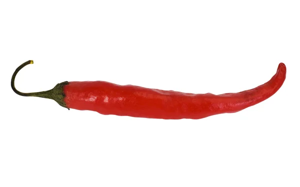 Μεγέθυνση του ένα κόκκινο πιπέρι τσίλι — Φωτογραφία Αρχείου