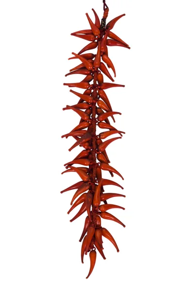 Egy piros chili paprika strand részlete — Stock Fotó