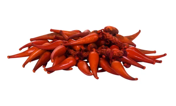 Close-up of a strand of red chili peppers — Stock Photo, Image