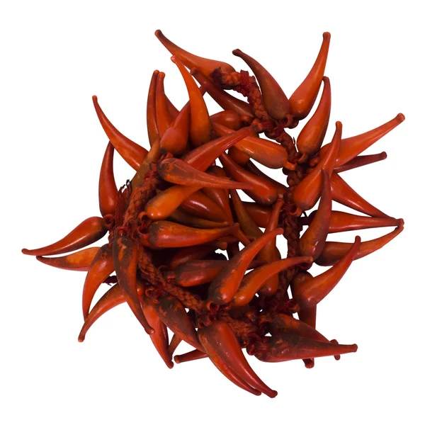 Close-up of a strand of red chili peppers — Stock Photo, Image