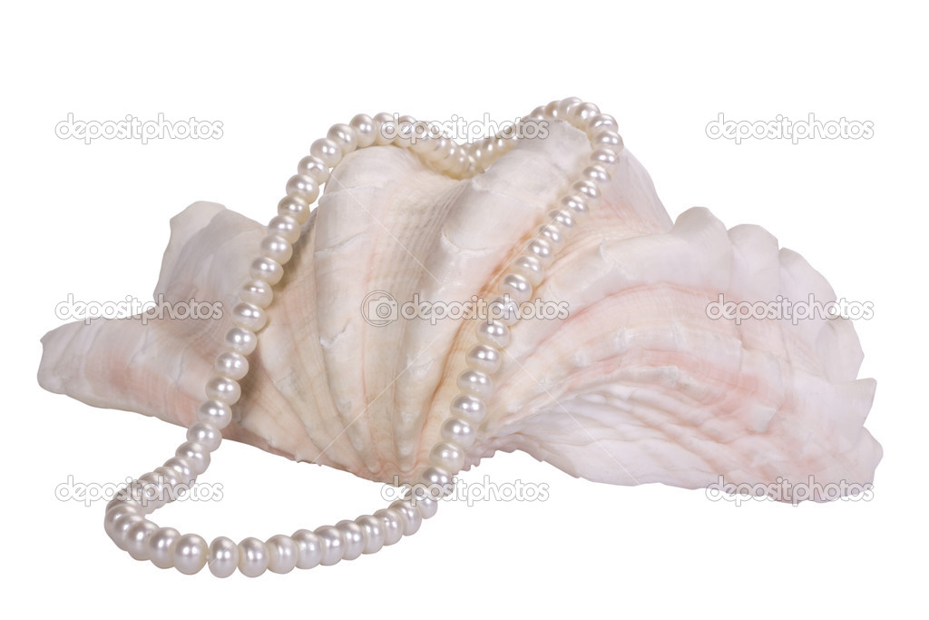 Close-up of a pearl necklace on a seashell