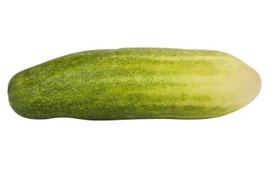 taze yeşil salatalık Close-Up