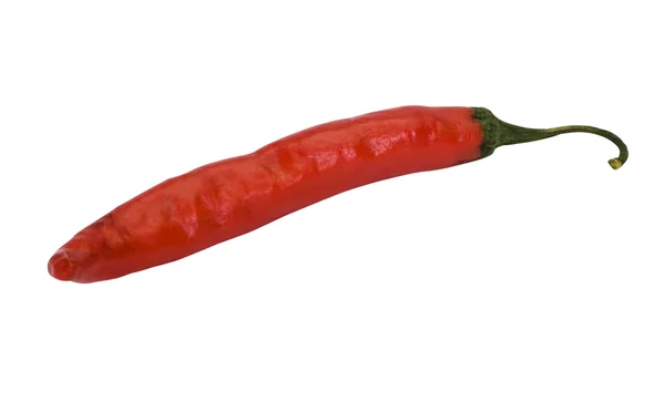 Közeli kép: egy piros chili paprika — Stock Fotó