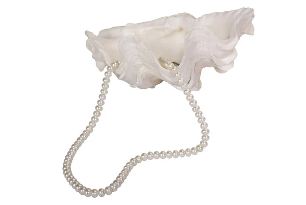 貝殻の真珠のネックレスのクローズ アップ — ストック写真