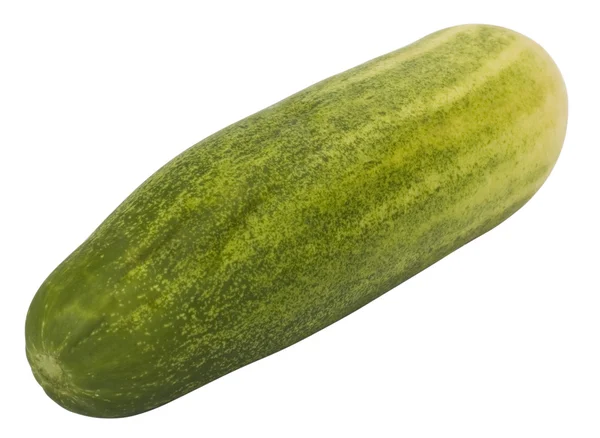 Close-up of a fresh green cucumber — Stock Photo, Image