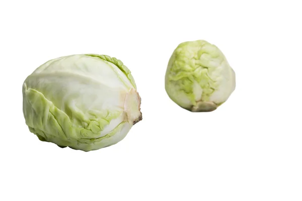 Close-up of two cabbages — Stock Photo, Image