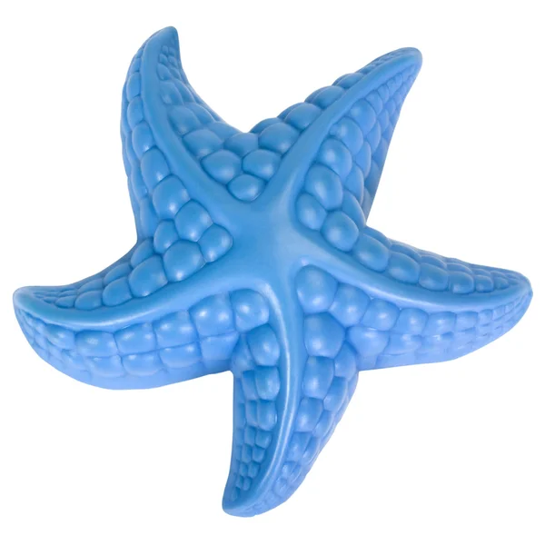 Primer plano de una estrella de mar de juguete — Foto de Stock