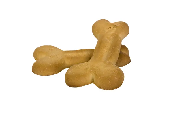 Primo piano dei biscotti per cani — Foto Stock