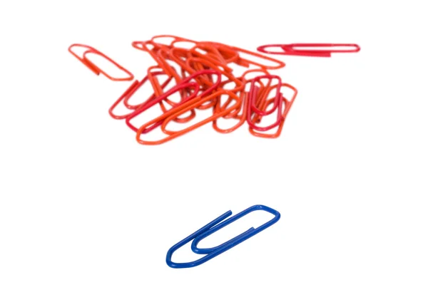 Close-up of assorted paper clips — Stock Photo, Image