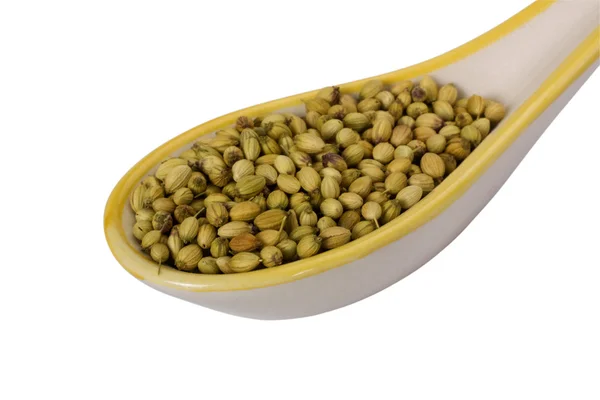 Primo piano di un cucchiaio pieno di semi di coriandolo — Foto Stock