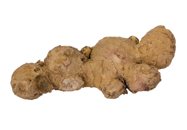 Close-up of a ginger — Stock Photo, Image