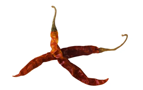 Close-up of dried red chili peppers — Stock Photo, Image