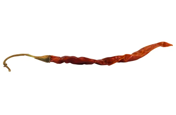 Close-up of a dried red chili pepper — Stock Photo, Image