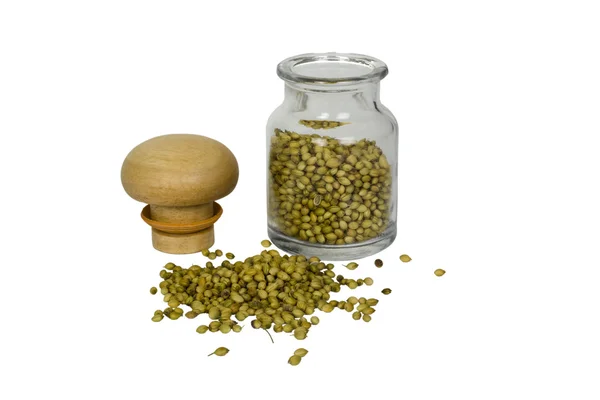 Coriander seeds spilling out from a container — Stock Photo, Image
